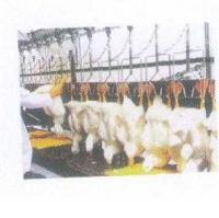 品味自然珍饈 野鴨肉的清新之味與濃郁野韻