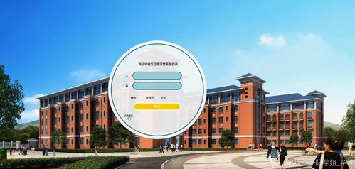 高校畢業(yè)生信息采集系統(tǒng)的設(shè)計(jì)與實(shí)現(xiàn)——基于Java與Vue的前后端分離架構(gòu)